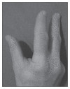 Figure 3di