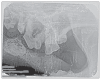 Figure 1e