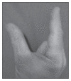 Figure 3bi