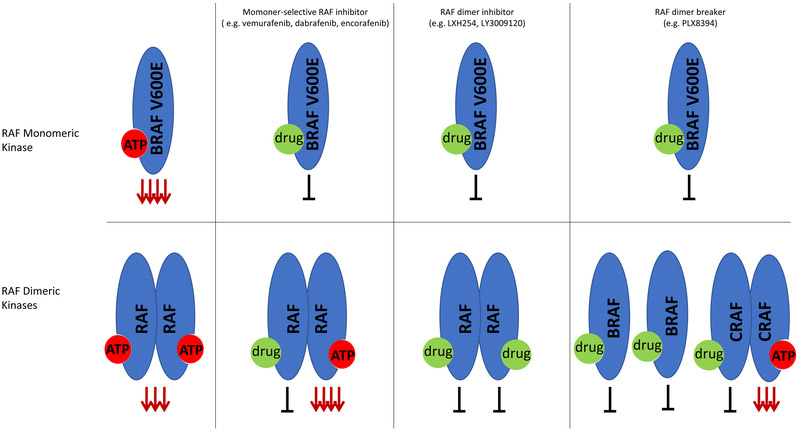 Figure 4: