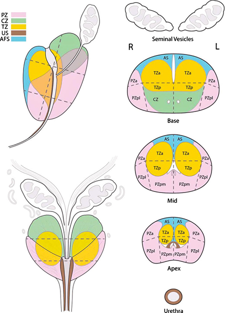 graphic file with name nihms-1005396-f0008.jpg