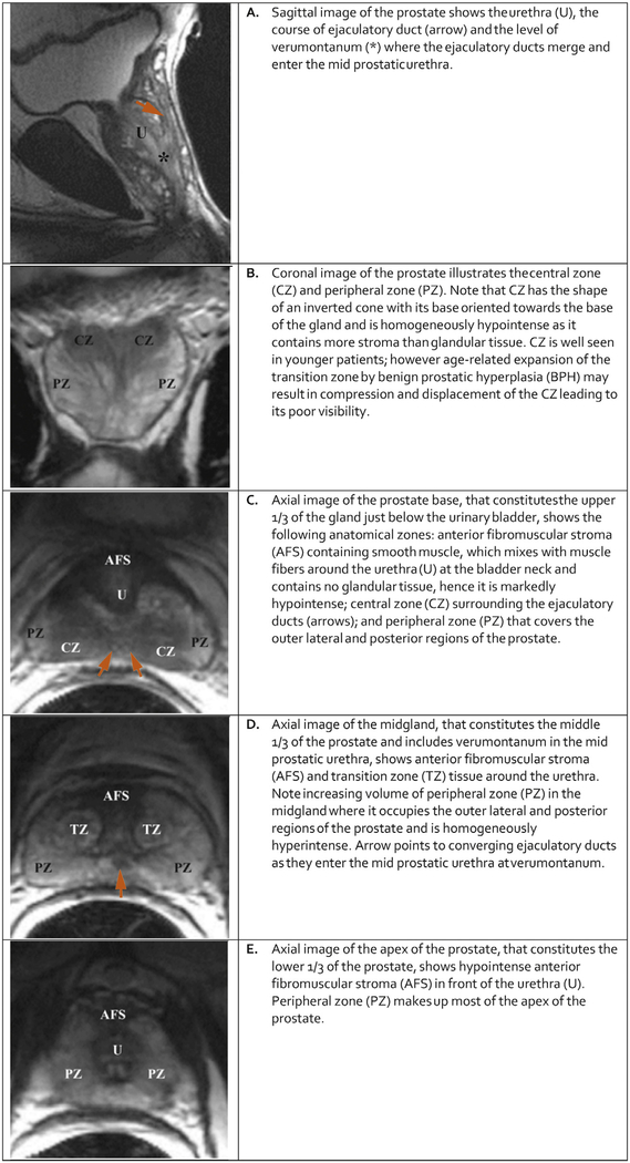 Fig. 1 –