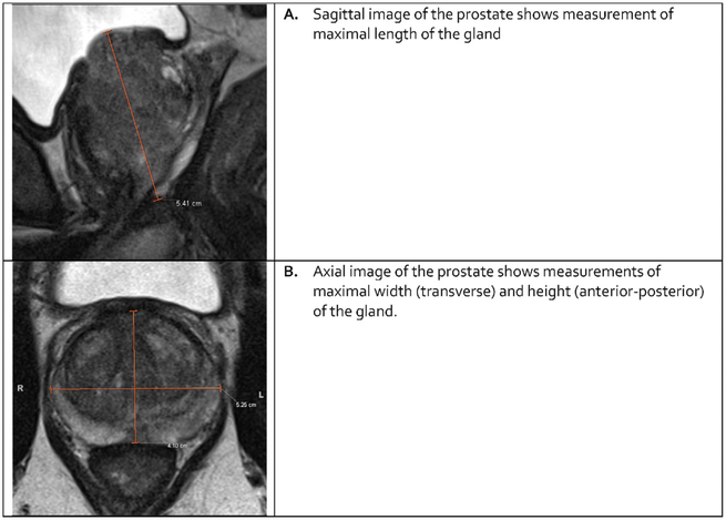 Fig. 2 –