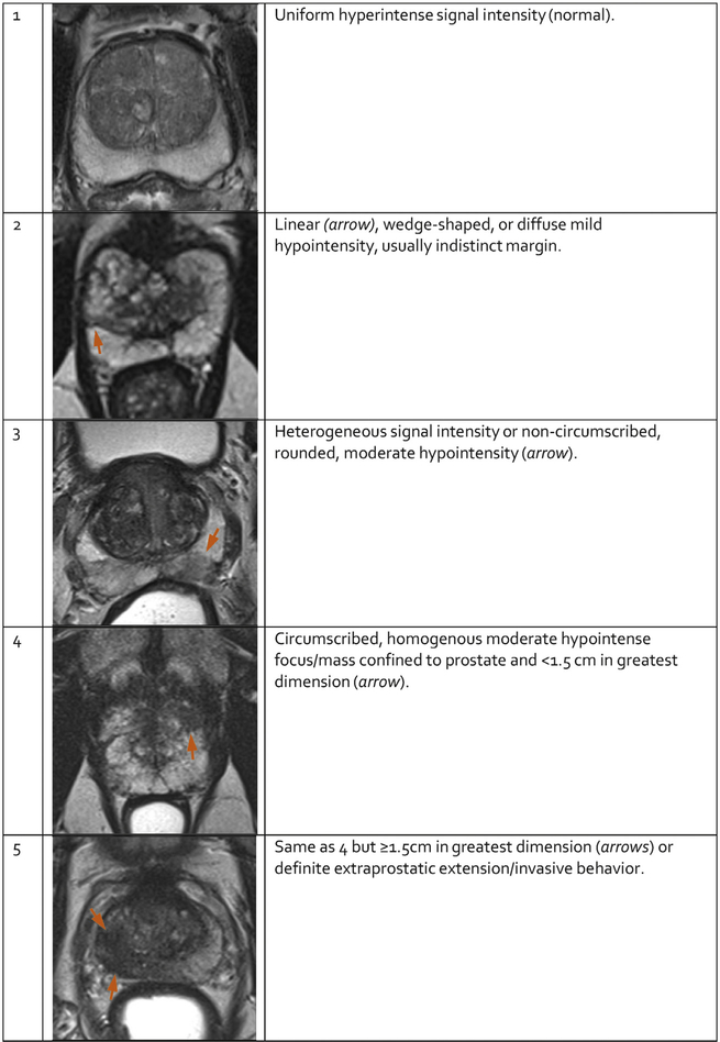 Fig. 3 –