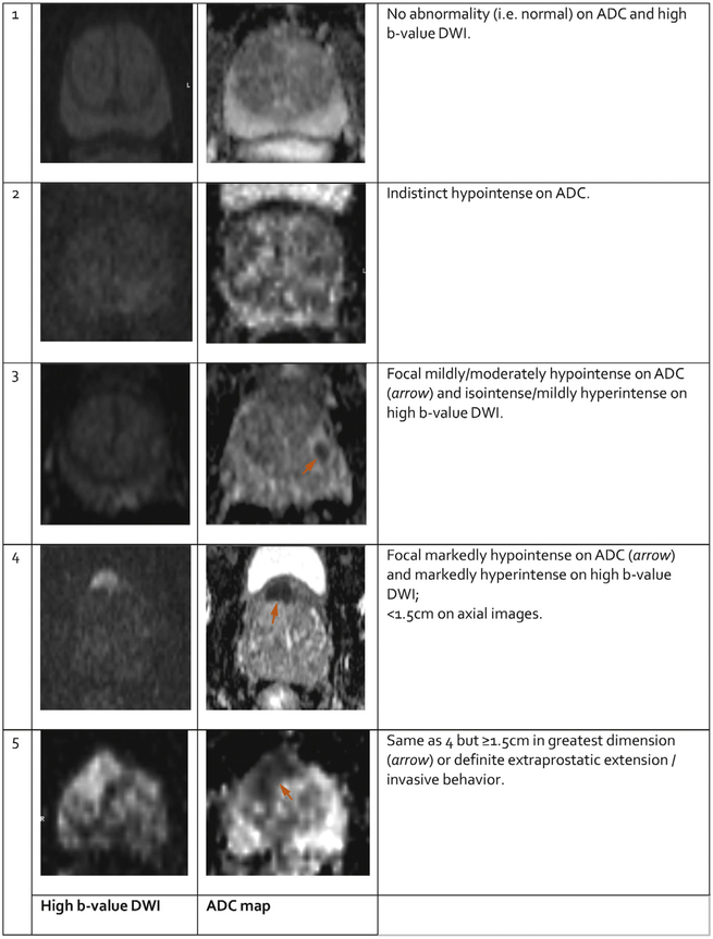 Fig. 6 –