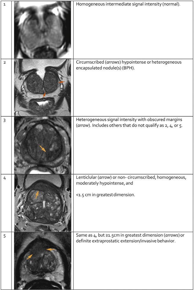 Fig. 4 –