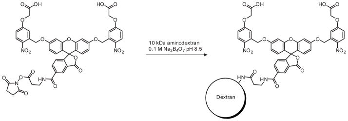 Scheme 3