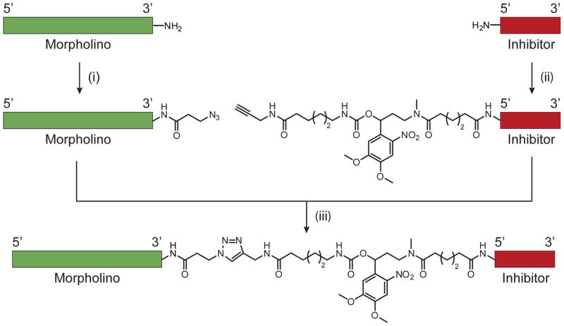 Scheme 2