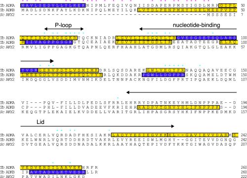 Figure 2.