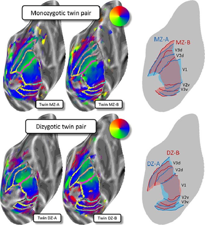 Image, graphical abstract