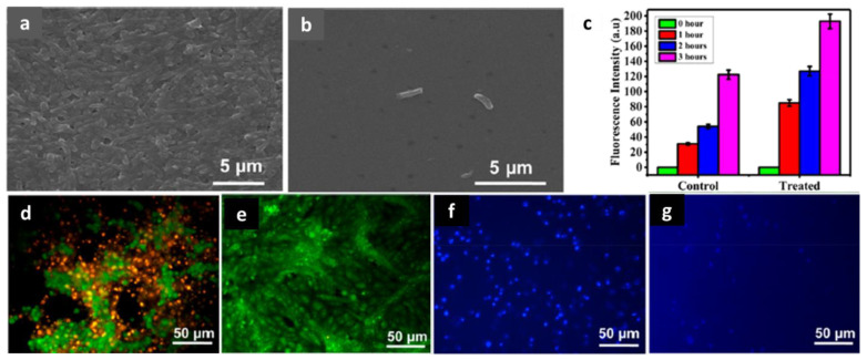 Figure 14