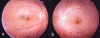 Fig. (3)