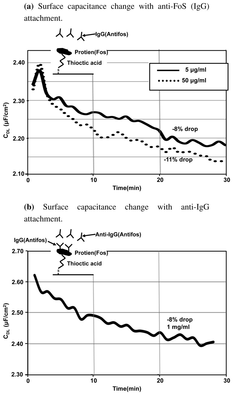 Figure 11.