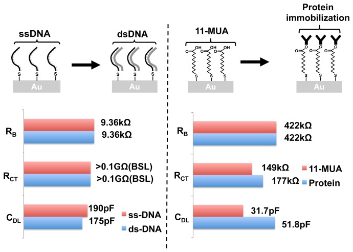 Figure 16.