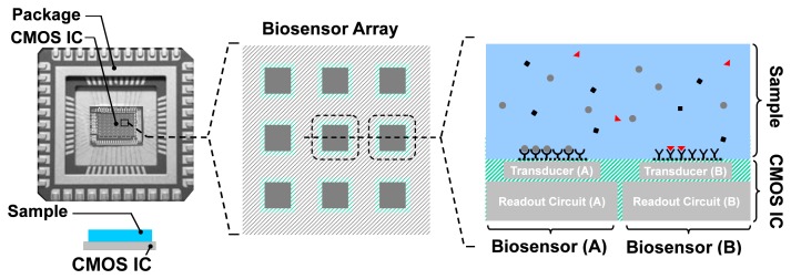 Figure 3.