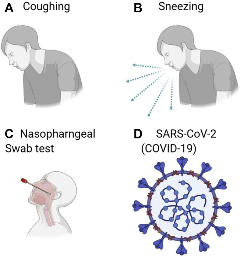 Figure 1