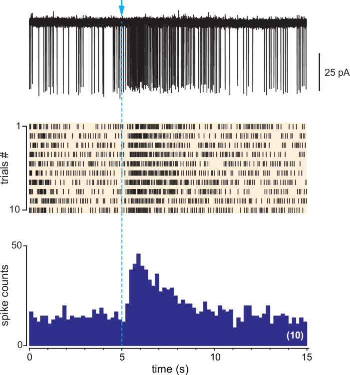 Figure 3—figure supplement 3.