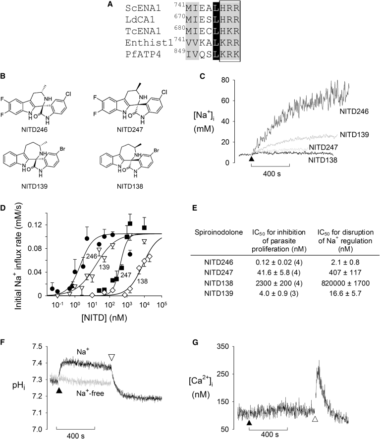 Figure 2