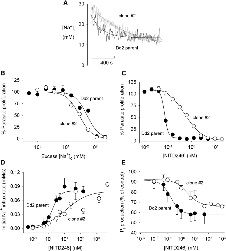 Figure 5