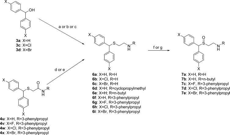 Scheme 2