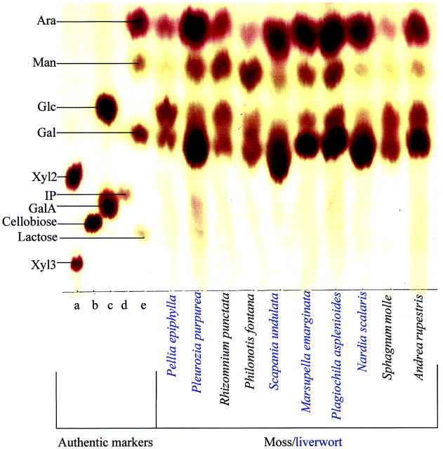 graphic file with name mcg013f7.jpg