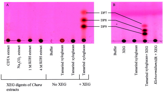 graphic file with name mcg013f4.jpg