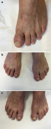 Fig. 3