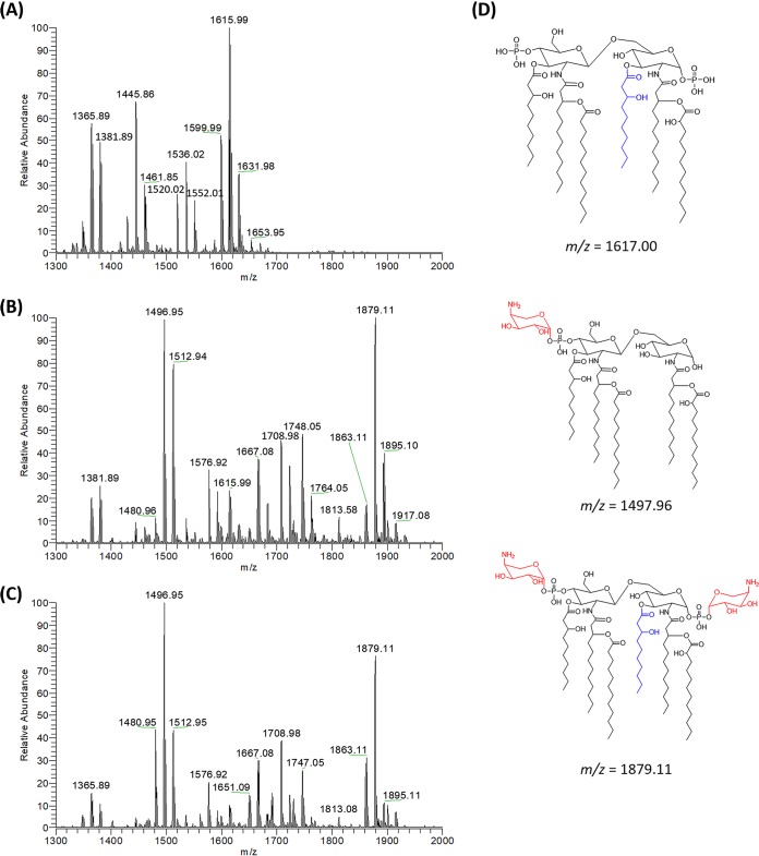 FIG 1