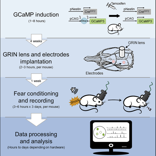 graphic file with name fx1.jpg