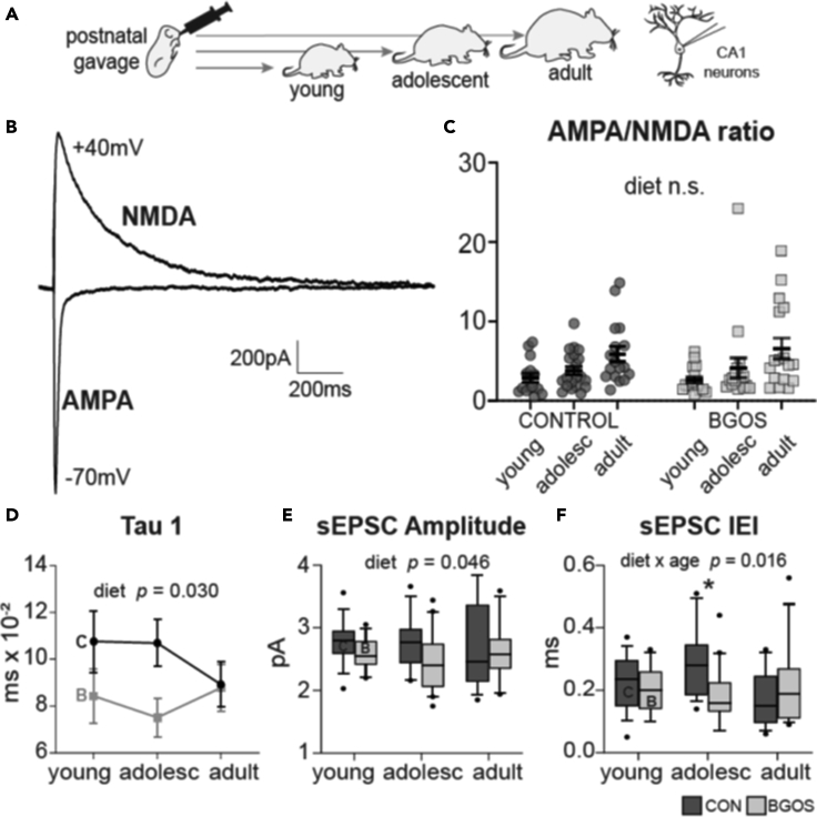 Figure 3