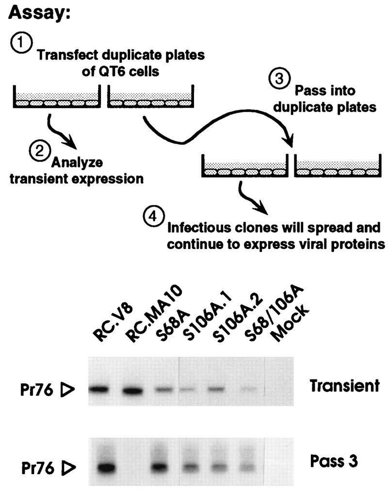 FIG. 3