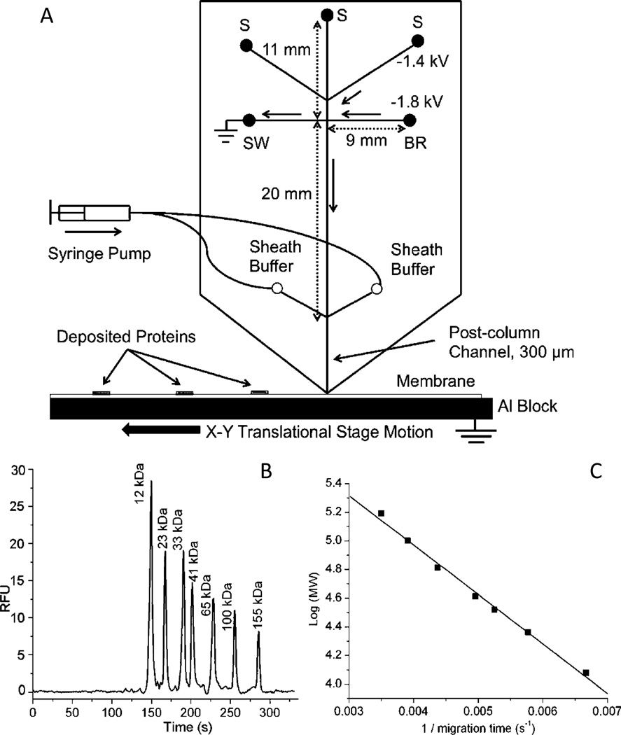 Fig. 8