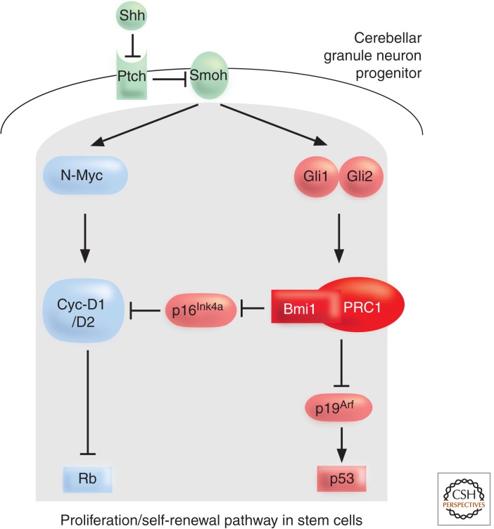 Figure 10.