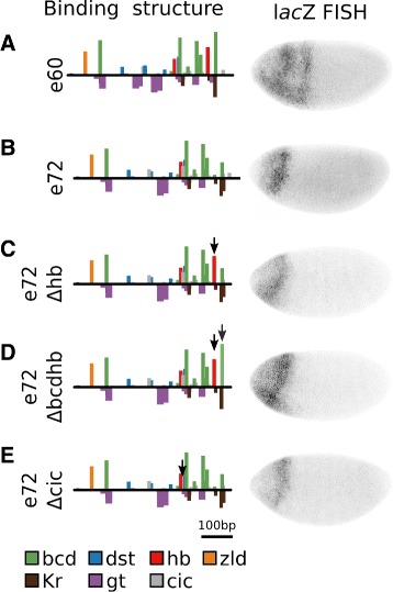 Fig. 4