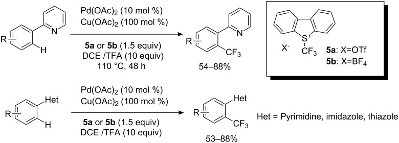 Scheme 7