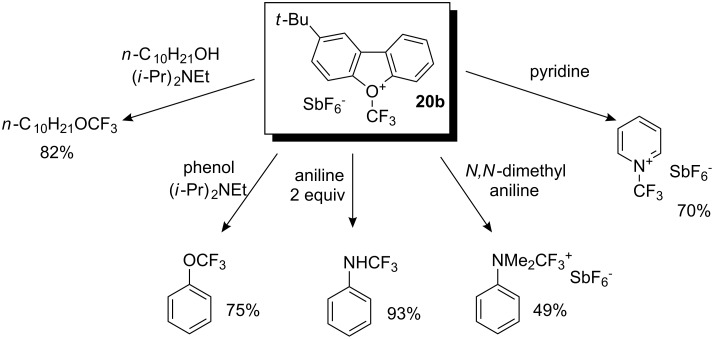 Scheme 16