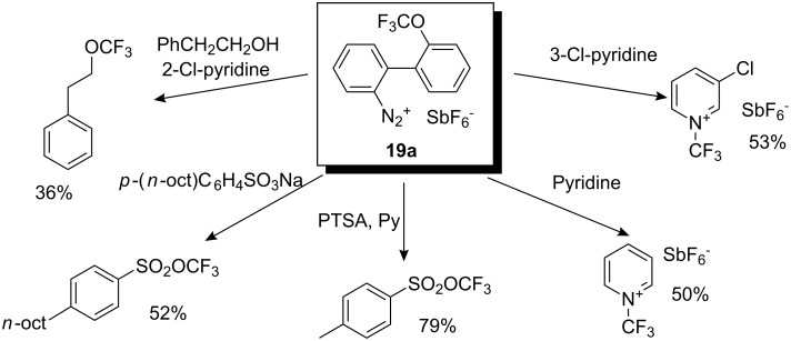 Scheme 18