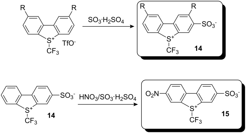 Scheme 10