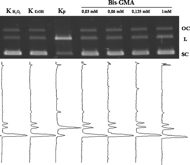 Fig. 9