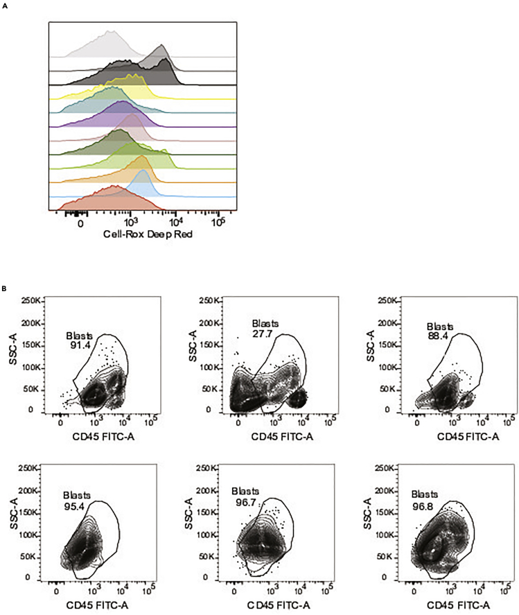 Figure 2