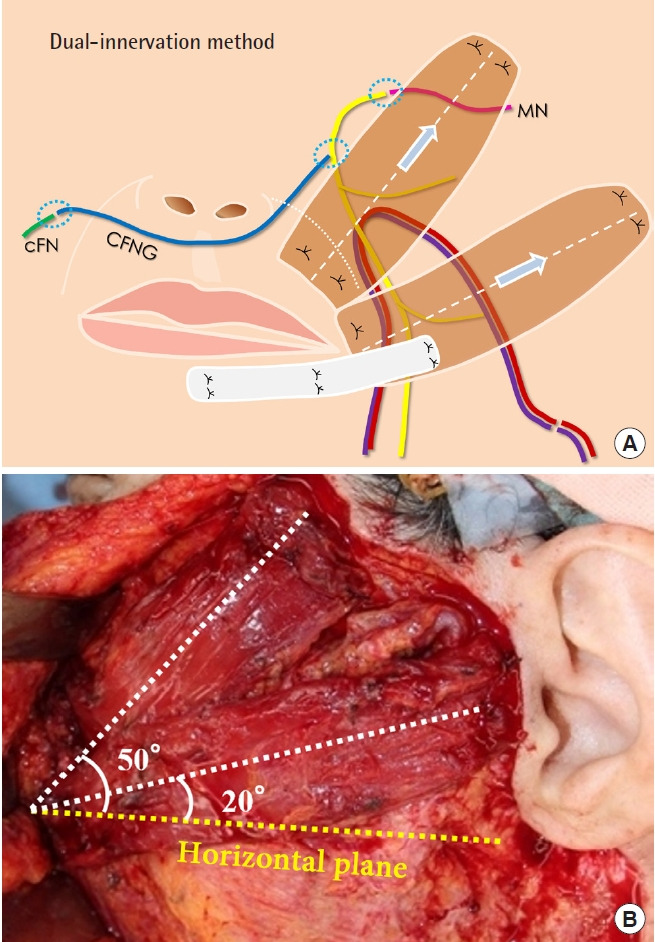 Fig. 3.