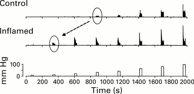 Figure 4  