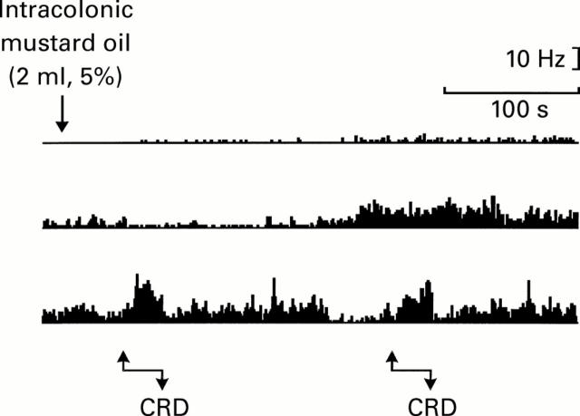 Figure 5  