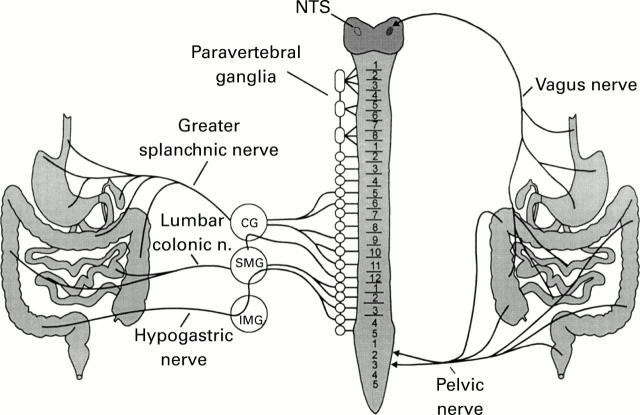 Figure 1  