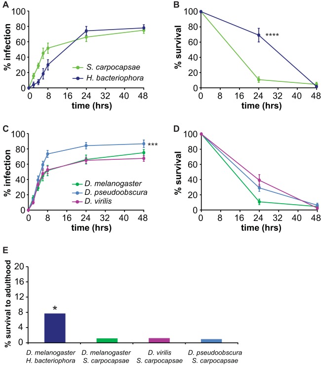 FIG 6