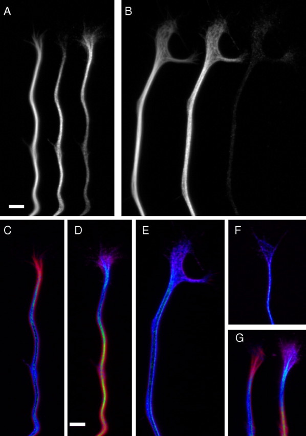 Figure 12.