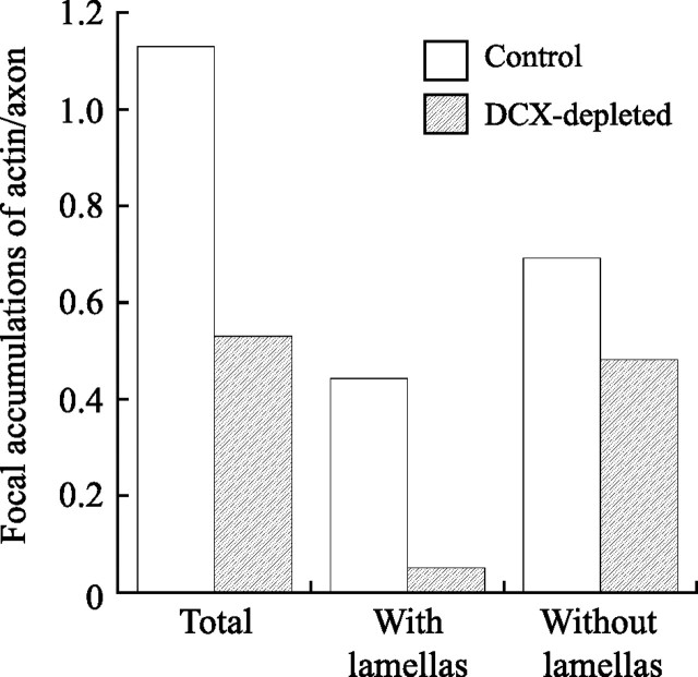 Figure 11.