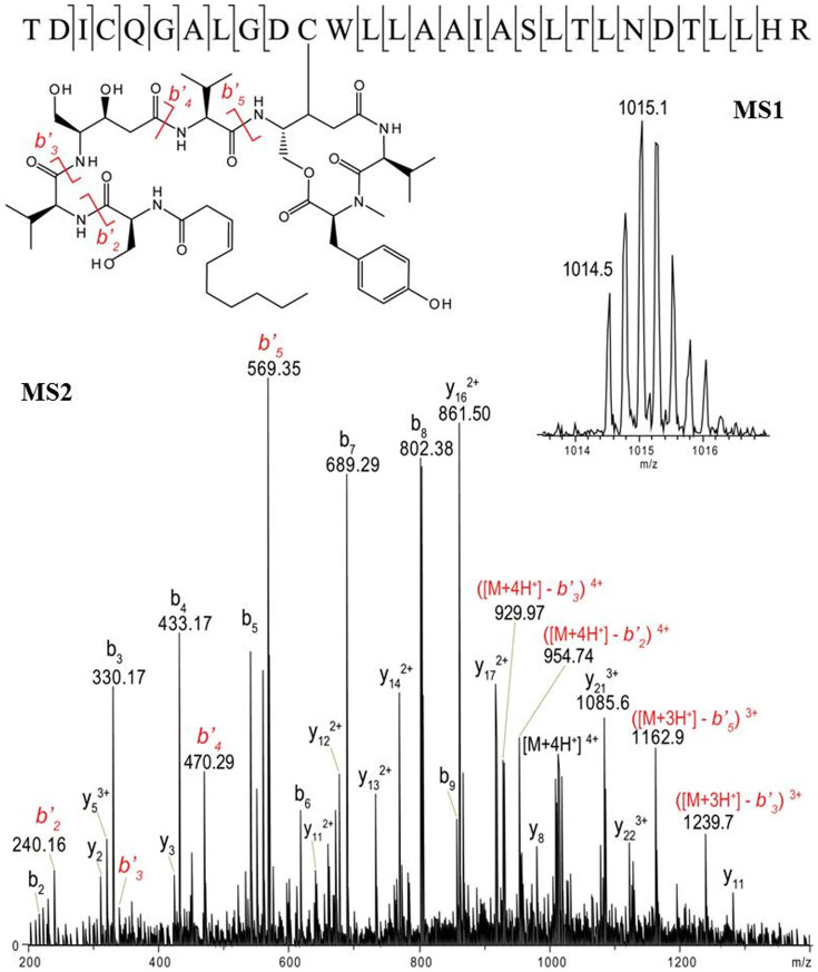 Figure 6