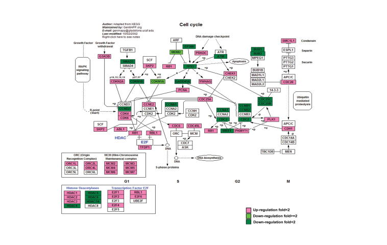 Supplementary Figure S2