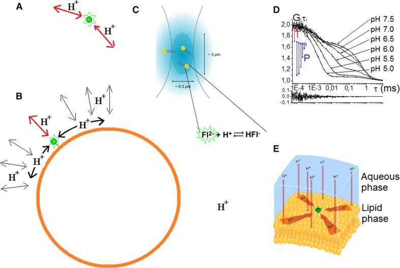 Fig. 2